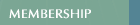 Membership to The National Shrine of St. Dymphna